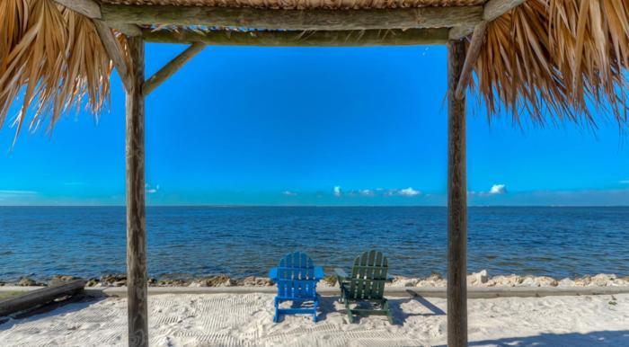 טאמפה 441-Waterfront, Amazing Views, Wifi, Pool And Close To Bucs Stadium מראה חיצוני תמונה
